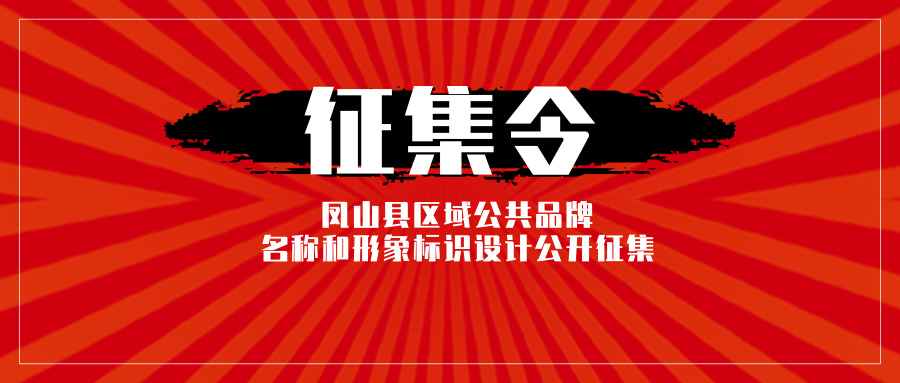 8000元 凤山县区域公共品牌名称和形象标识设计公开征集公告