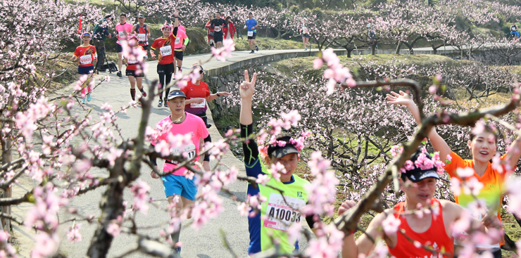 中交未来城 | 2020奉化海峡两岸桃花马拉松吉祥物征集